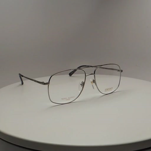 Seiko Titanium T0573 Eyeglasses Seiko Titanium Authorized Retailer